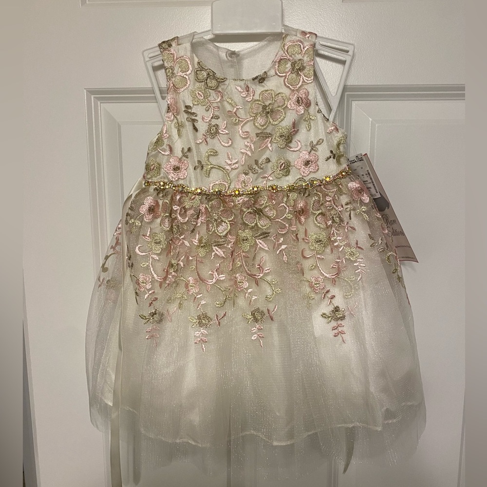 Rare Editions Embroidered Toddler Dress size 18M